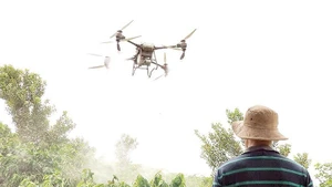 Los agricultores de la provincia de Lam Dong utilizan drones para reducir costes y proteger su salud. (Foto: Le Giang Nam).