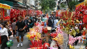 Premier vietnamita da directrices para garantizar un Tet seguro