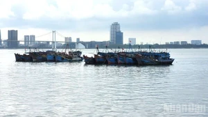 Foto de ilustración: Nhan Dan