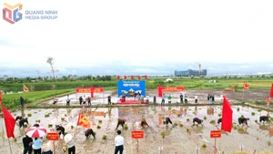 Animado festival para celebrar el inicio del ciclo agrícola en Quang Ninh
