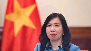 La viceministra vietnamita de Relaciones Exteriores Le Thi Thu Hang (Foto: VNA)