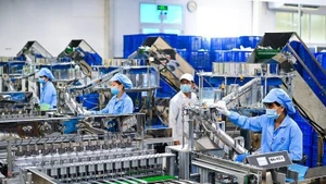 Crean 178 mil nuevas empresas en Vietnam en 11 meses. (Foto: chinhphu.vn )