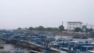 La provincia de Dak Lak cuenta actualmente con dos mil 575 embarcaciones pesqueras registradas en el sistema nacional de bases de datos pesqueras. (Foto: nongnghiepmoitruong.vn)