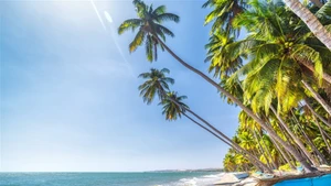 Foto: tapchicongthuong.vn