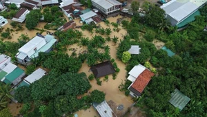 Más de 52 millones de dólares recaudados para las víctimas de las inundaciones en Vietnam
