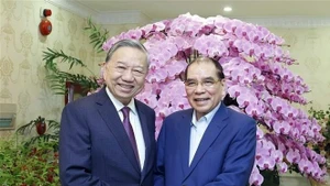 El secretario general del Partido Comunista de Vietnam, To Lam, realiza una visita y transmite felicitaciones por el Año Nuevo Lunar al exsecretario general Nong Duc Manh. (Foto: VNA)