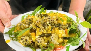 Una variedad de tentadores platillos de caracoles atraen a los comensales. (Foto: dantri.com.vn)