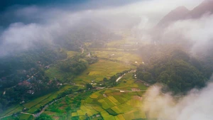 Temporada dorada en Pu Luong