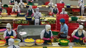 Vietnam impulsa reestructuración de cadena de valor agrícola ante alza de costos logísticos