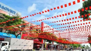 Un tramo de la calle Nguyen Hue, en el barrio de Cao Lanh, provincia de Dong Thap, decorado para celebrar el XIV Congreso Nacional del Partido. (Foto: dongthap.gov.vn)