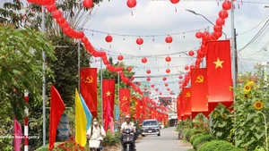 Una carretera rural en la comuna de Tra Con, provincia de Vinh Long, engalanada con banderas y flores, refleja el ambiente festivo y de expectación ante la próxima jornada electoral. (Foto: VNA)