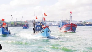 Lucha contra pesca ilegal: Nghe An intensifica supervisión de barcos pesqueros