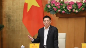 El viceprimer ministro vietnamita Ho Duc Phoc interviene en la reunión. (Foto: VNA)