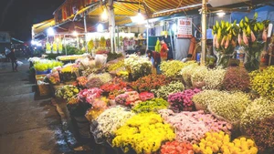 [Vídeo] Mercado de flores en Hanói se llena de ambiente antes del Tet