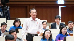 El diputado Tran Huu Hau de la provincia sureña de Tay Ninh habla en la cita. (Foto: quochoi.vn)