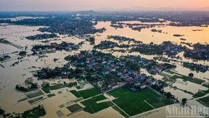 Rey de Camboya expresa su solidaridad con Vietnam tras recientes inundaciones
