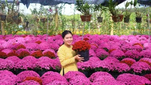 Foto: sggp.org.vn