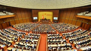 [Infografía] Órganos de la Asamblea Nacional de Vietnam de la XV Legislatura