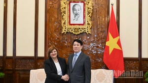 El presidente de Vietnam, Luong Cuong, y la embajadora de la República Árabe de Egipto, Amal Abdel Kader Elmorsi Salama. (Foto: Nhan Dan)