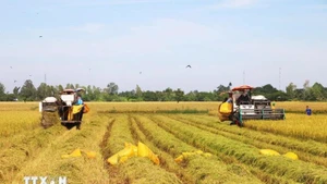 Foto ilustrativa (Fuente: VNA)