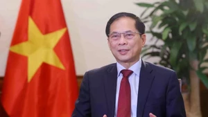 El viceprimer ministro y canciller de Vietnam, Bui Thanh Son (Foto: VNA)