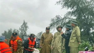 El viceprimer ministro Tran Hong Ha y su delegación inspeccionaron el refuerzo del dique de Hoi Thong en la comuna de Dan Hai, provincia de Ha Tinh. (Foto: VNA)