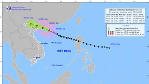 Advierten sobre riesgo de fuertes lluvias en el Norte de Vietnam por el tifón Matmo. (Foto: Centro Nacional de Pronósticos Hidrometeorológicos de Vietnam)