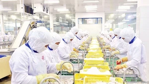 Foto de ilustración (Fuente: Nhan Dan)