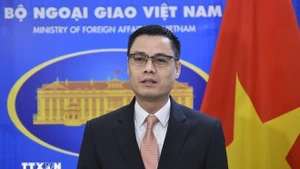 El vicecanciller vietnamita Dang Hoang Giang. (Foto: VNA)