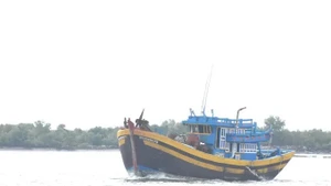 Ciudad Ho Chi Minh logra el 100% de licencias para su flota pesquera. Foto ilustrativa (Fuente: VNA)