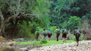 El equipo de estudio de la biodiversidad en la Reserva Natural Pu Huong. (Foto: VNA)