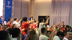 Aficionados vietnamita celebran la victoria de jugadores. (Foto: VNA)