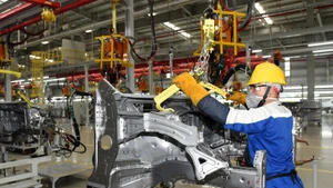 Foto ilustrativa (Fuente: Nhan Dan)