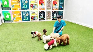 Mercado vietnamita de mascotas atrae a las empresas surcoreanas