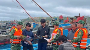 Campaña en Bach Long Vi refuerza lucha contra pesca ilegal en Vietnam