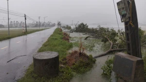 Tifón Kajiki toca tierra causando graves daños en el centro y norte de Vietnam