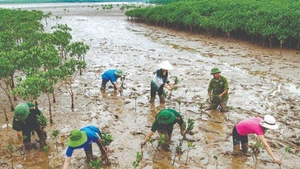 Foto ilustrada (Fuente: baochinhphu.vn)