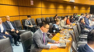 El embajador Vu Le Thai Hoang, representante permanente de Vietnam ante la ONU y otras organizaciones internacionales en Viena (Austria), interviene en la cita. (Foto: Nhan Dan)