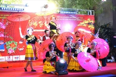 Una interpretación en la ceremonia de apertura del Festival Tet vietnamita 2025 en Bukit Bintang, Kuala Lumpur. (Foto: VNA)