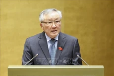 El viceprimer ministro permanente Nguyen Hoa Binh interviene en la reunión. (Foto: VNA)