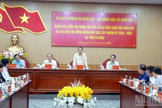 Comité Permanente del Parlamento de Vietnam supervisa preparativos electorales en provincia sureña de Ca Mau (Foto: Nhan Dan)