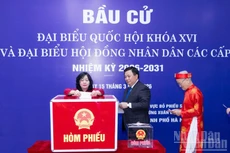 La presidenta del Frente de la Patria de Vietnam, Bui Thi Minh Hoai, emite su voto.