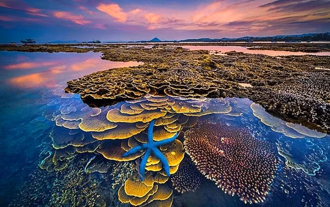 La obra titulada 'Los colores del mar' recibe el primer premio del concurso en 2018. (Fotografía: Tran Bao Hoa)