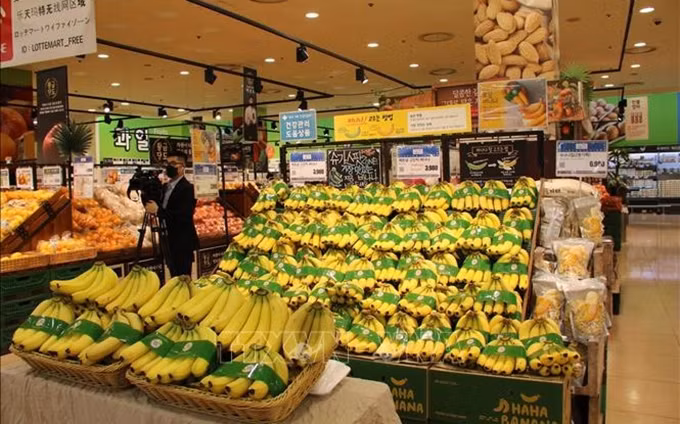 Plátano de Vietnam está presente en la cadena de supermercados de Lotte, en Corea del Sur. (Fotografía)