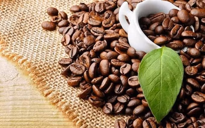Exportaciones vietnamitas de café superan dos mil millones de dólares