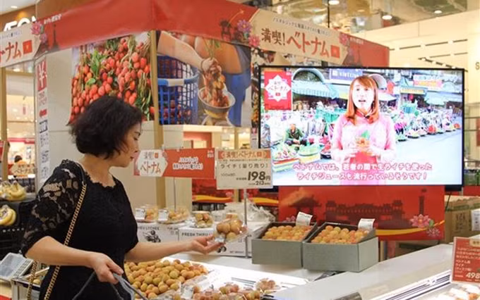 Venta de lichi en una tienda de AEON. (Fotografía: VNA)