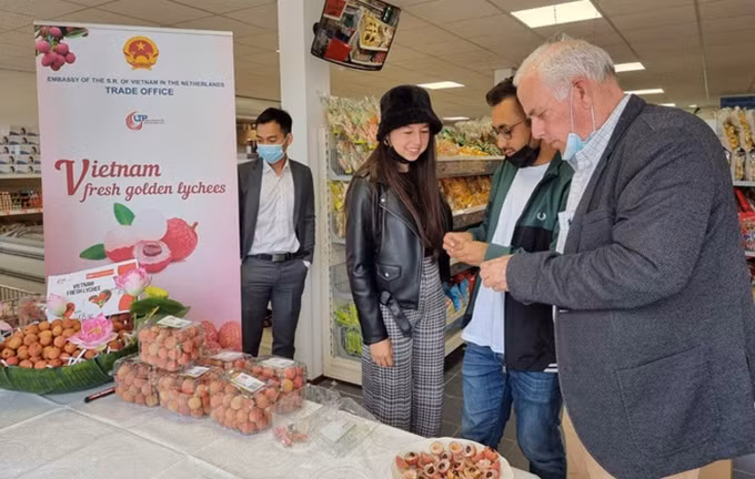 El lichi vietnamita se exhibe en un supermercado neerlandés. (Fotografía: Ministerio de Industria y Comercio de Vietnam)