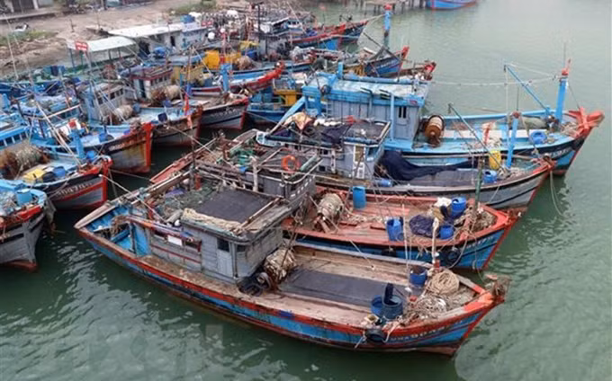 Barcos pesqueros en la ciudad de Da Nang. (Fotografía: VNA)