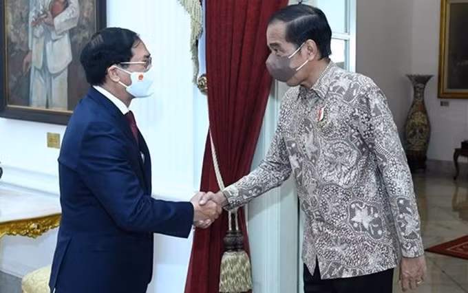 El canciller de Vietnam, Bui Thanh Son, se reúne con el presidente de Indonesia, Joko Widodo. (Fotografía: VNA)