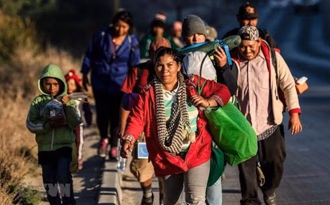 Migrantes centroamericanos en Tijuana, México. (Fotografía: AFP/VNA)